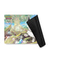Pokemon Go! Radiant Eevee Premium Collection